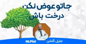 درخت باش